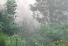 Benerembahlandscaping-irrigation-4.jpg; ?>